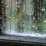 Ordinary rain on a window pane