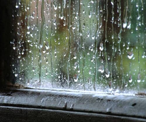 Ordinary rain on a window pane
