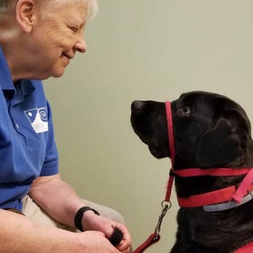 Service Dog, Dekker, looking at ARdis Mayo has words of wisdom