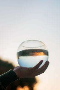 Hand holding fish bowl