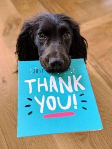 black dog holding a blue thank you card