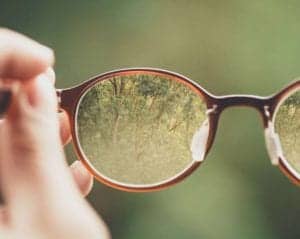 A hand hold a pair of glasses that are focused on the trees in the distance.