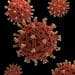 microscopic image of the corona virus