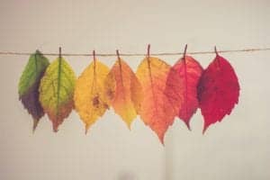 Different colored autumn leaves strung on a clothesline showing how things change with the weather.