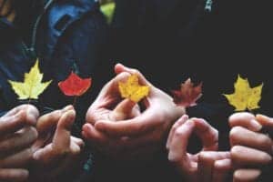 A group of hands holding fall leaves perhaps pondering death in autumn. is there meaning and purpose in growing old