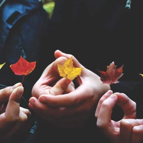 A group of hands holding fall leaves perhaps pondering death in autumn. is there meaning and purpose in growing old
