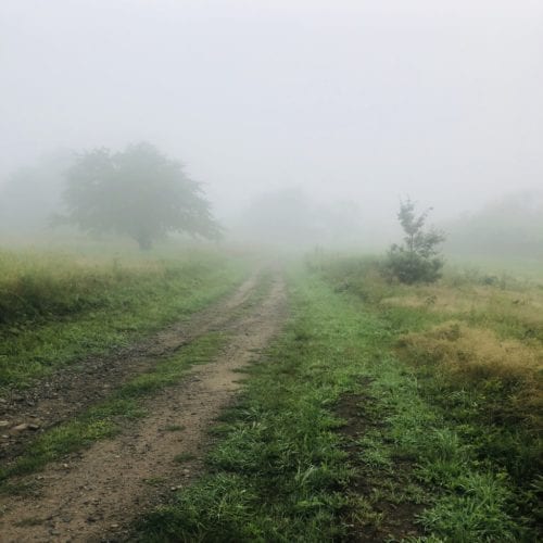 a path across a field and through the mist