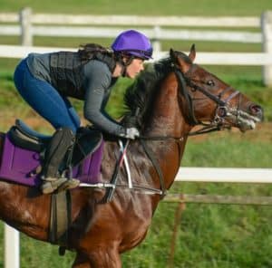 jockey on horseback in a race