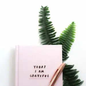 pink gratitude journal