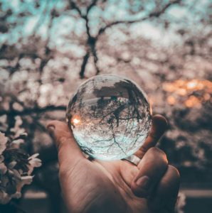 observing trees through a crystal ball