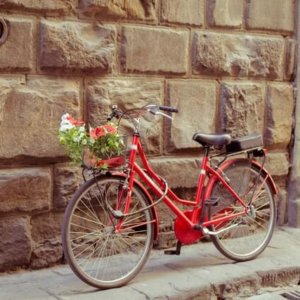 red bike