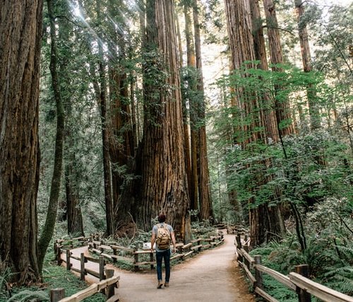 man stands at fork in a path in choosing a spiritual practice