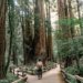 man stands at fork in a path in choosing a spiritual practice